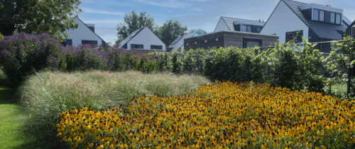 Woningen FGH2063 kopie êren