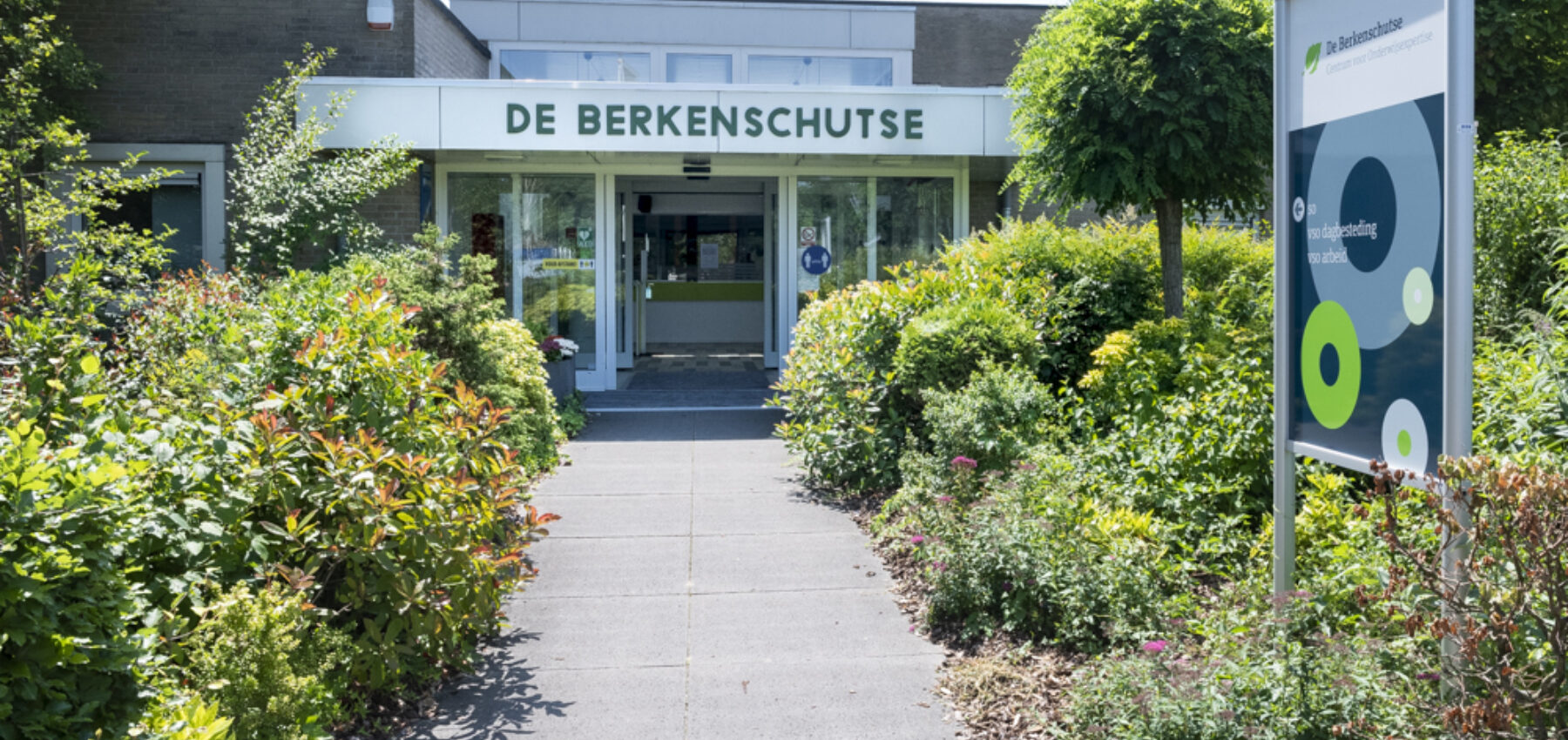 Berkenschutse juni 2020 FHP0126
